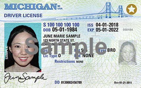 FREE Michigan DOS Practice Test | MI Drivers Permit Test